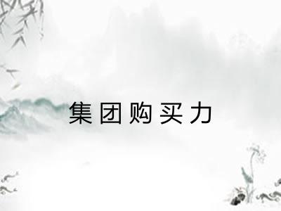 集团购买力