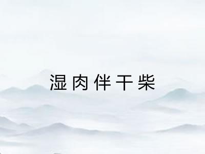 湿肉伴干柴