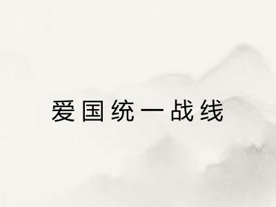 爱国统一战线 爱国统一战线