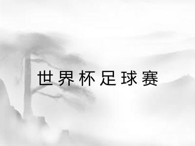 世界杯足球赛