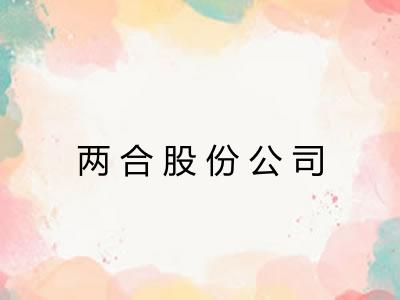 两合股份公司 两合股份公司