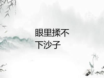 眼里揉不下沙子