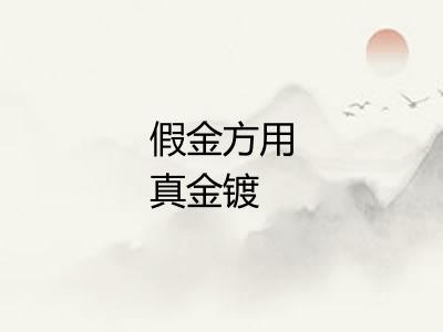 假金方用真金镀
