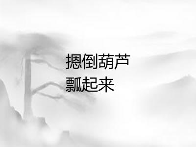 摁倒葫芦瓢起来