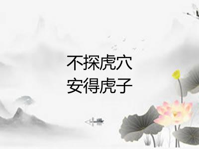 不探虎穴安得虎子 不探虎穴安得虎子