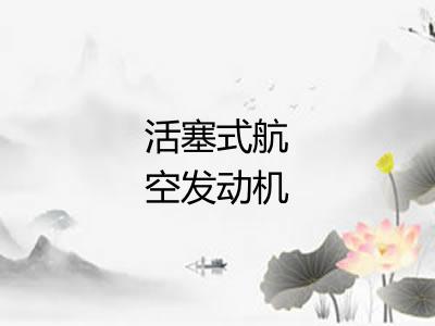 活塞式航空发动机 活塞式航空发动机