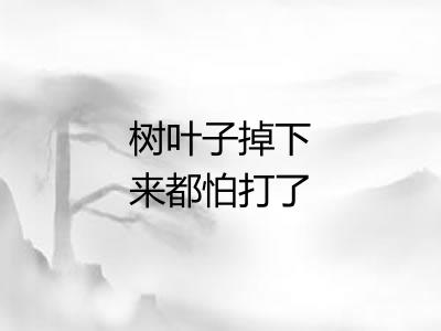 树叶子掉下来都怕打了头 树叶子掉下来都怕打了头