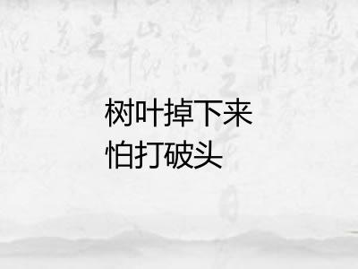 树叶掉下来怕打破头